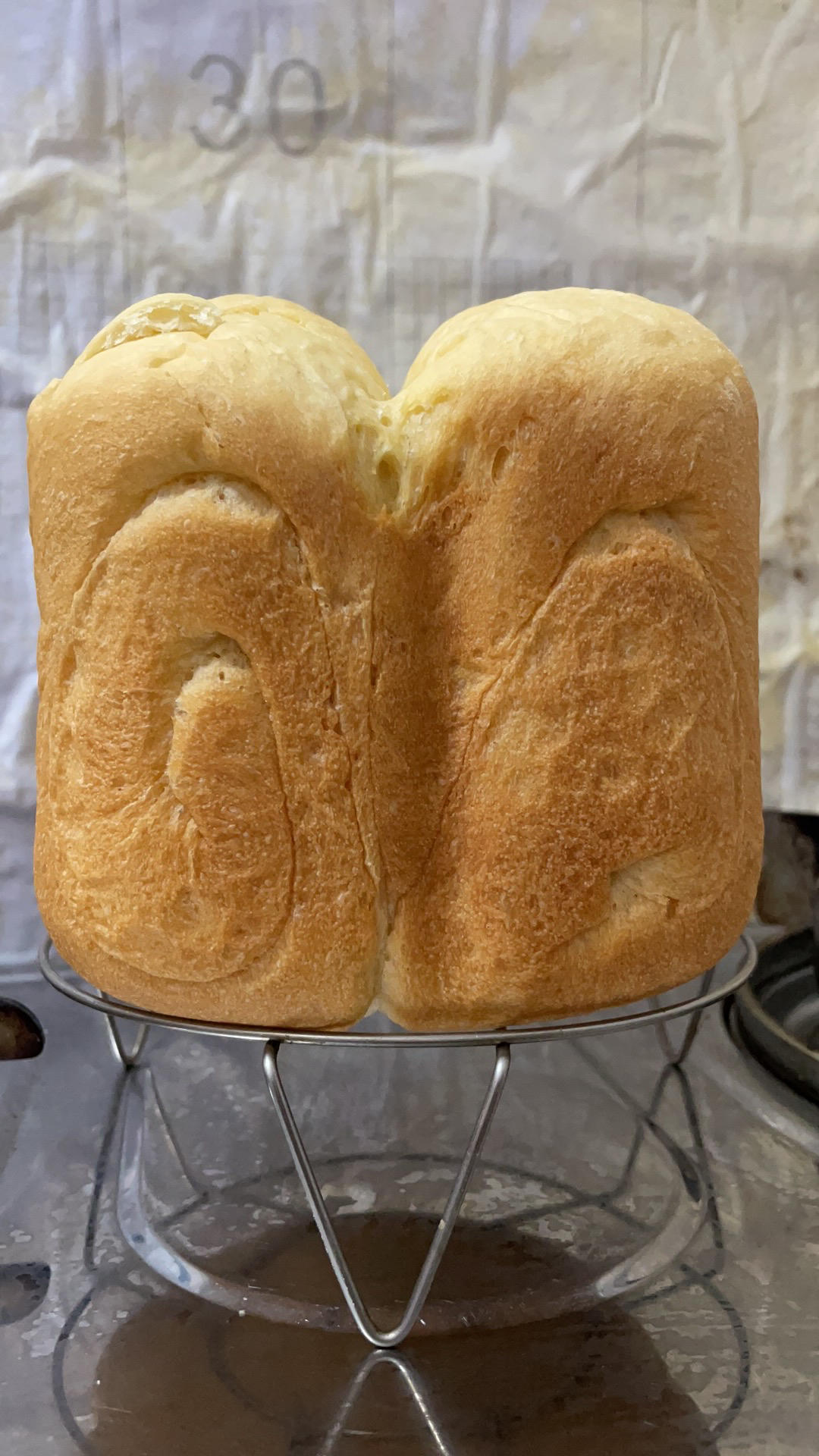 史上最详细的基础吐司教程