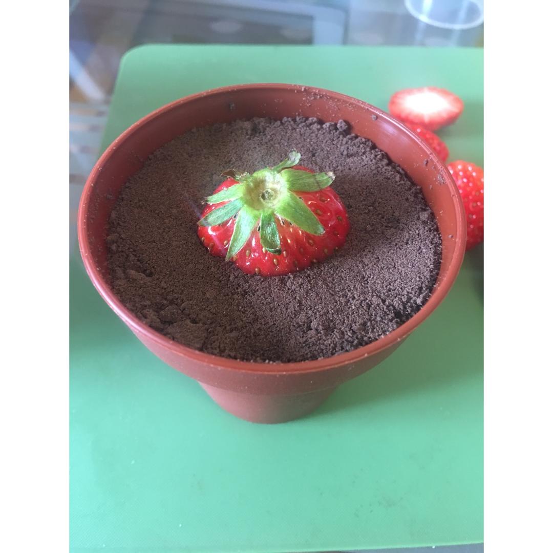 Bakingpie-奥利奥木糠杯