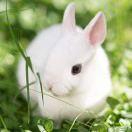 手机用户5544_k1q4