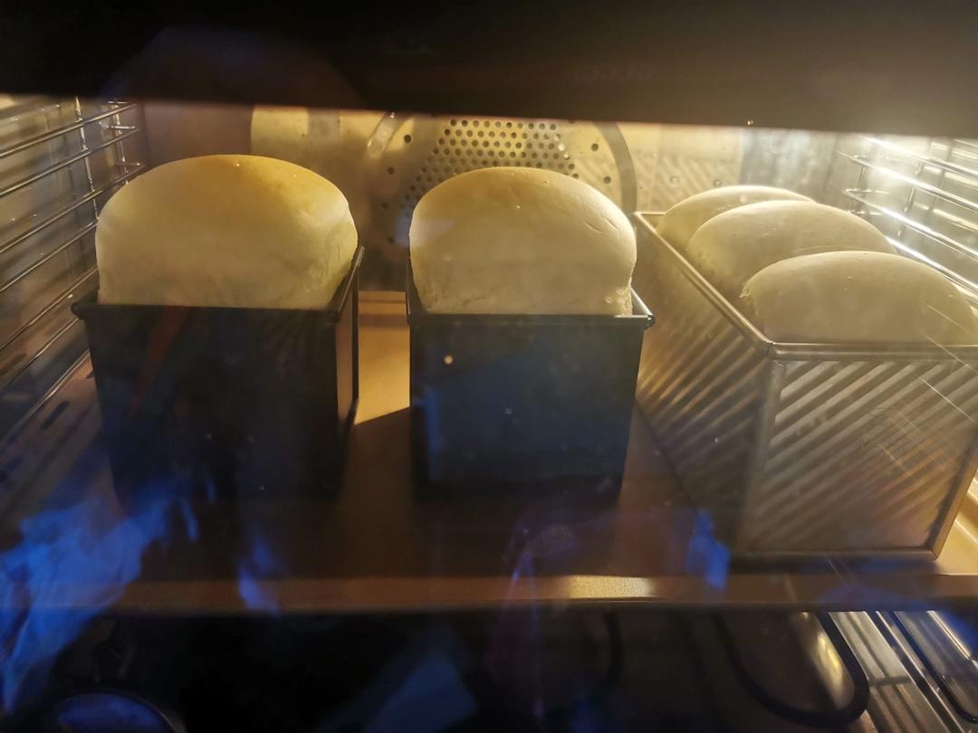 酸奶吐司（100%中种法）可以吃到酸奶的吐司