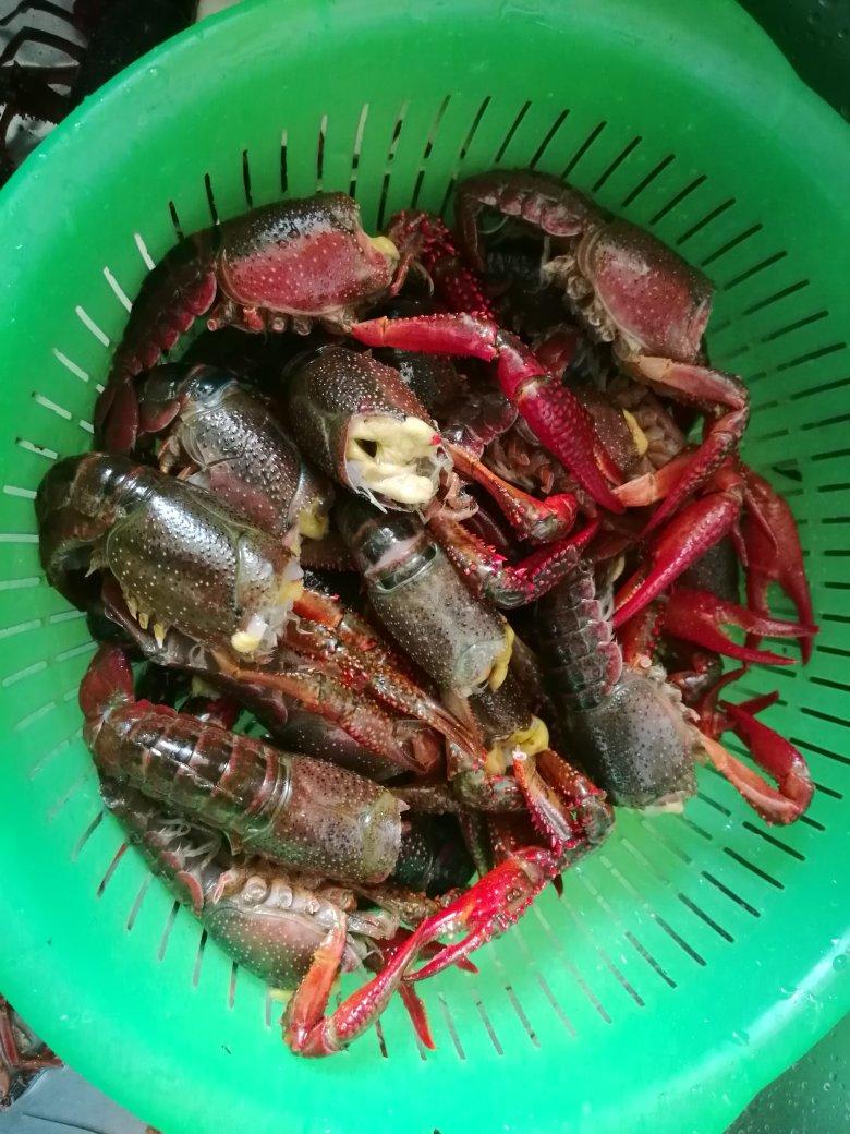 小龙虾-保留虾黄的处理方式