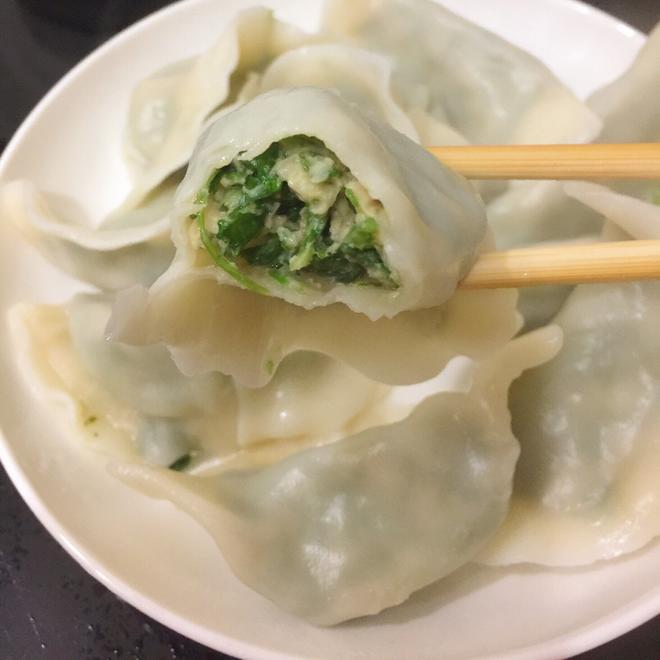 香菜水饺的做法