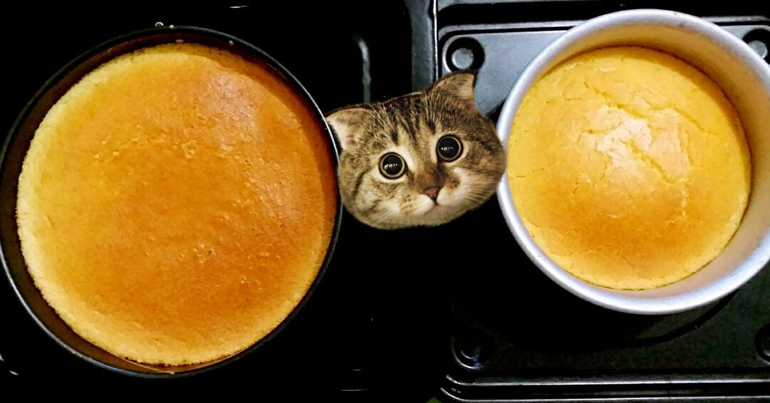 烤箱做蛋糕（戚风蛋糕的做法）