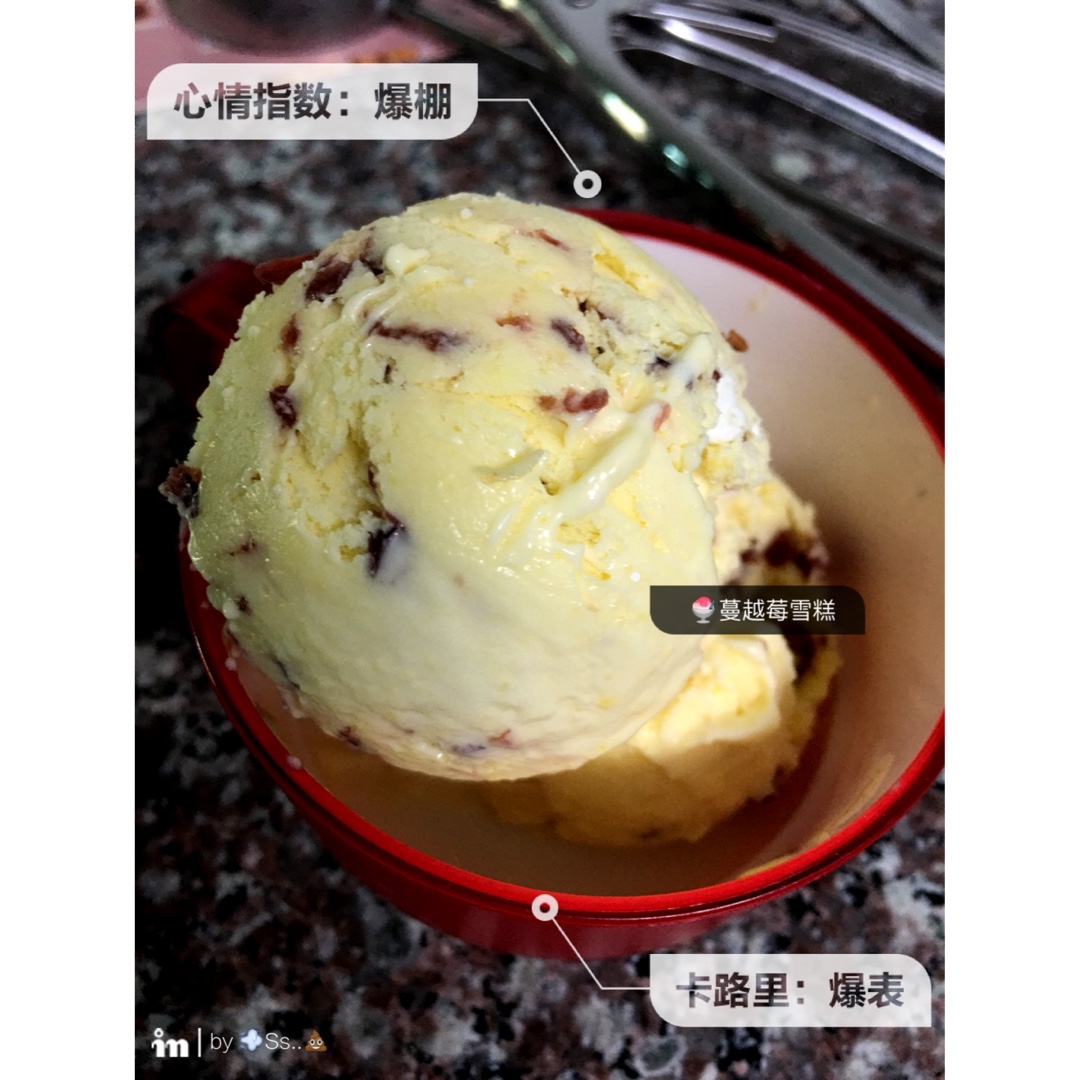 朗姆黑加仑冰淇淋 Rum Raisin Ice cream