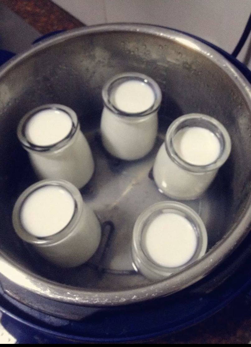 不需要酸奶机或菌粉，用高压锅电饭锅蒸锅焖烧壶热水壶加杯子做酸奶的做法