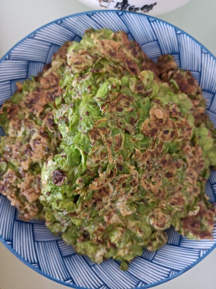 春天的榆钱饼