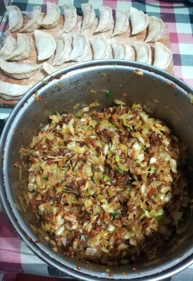 鸟儿问答做的包菜猪肉水饺【附带饺子皮做法】
