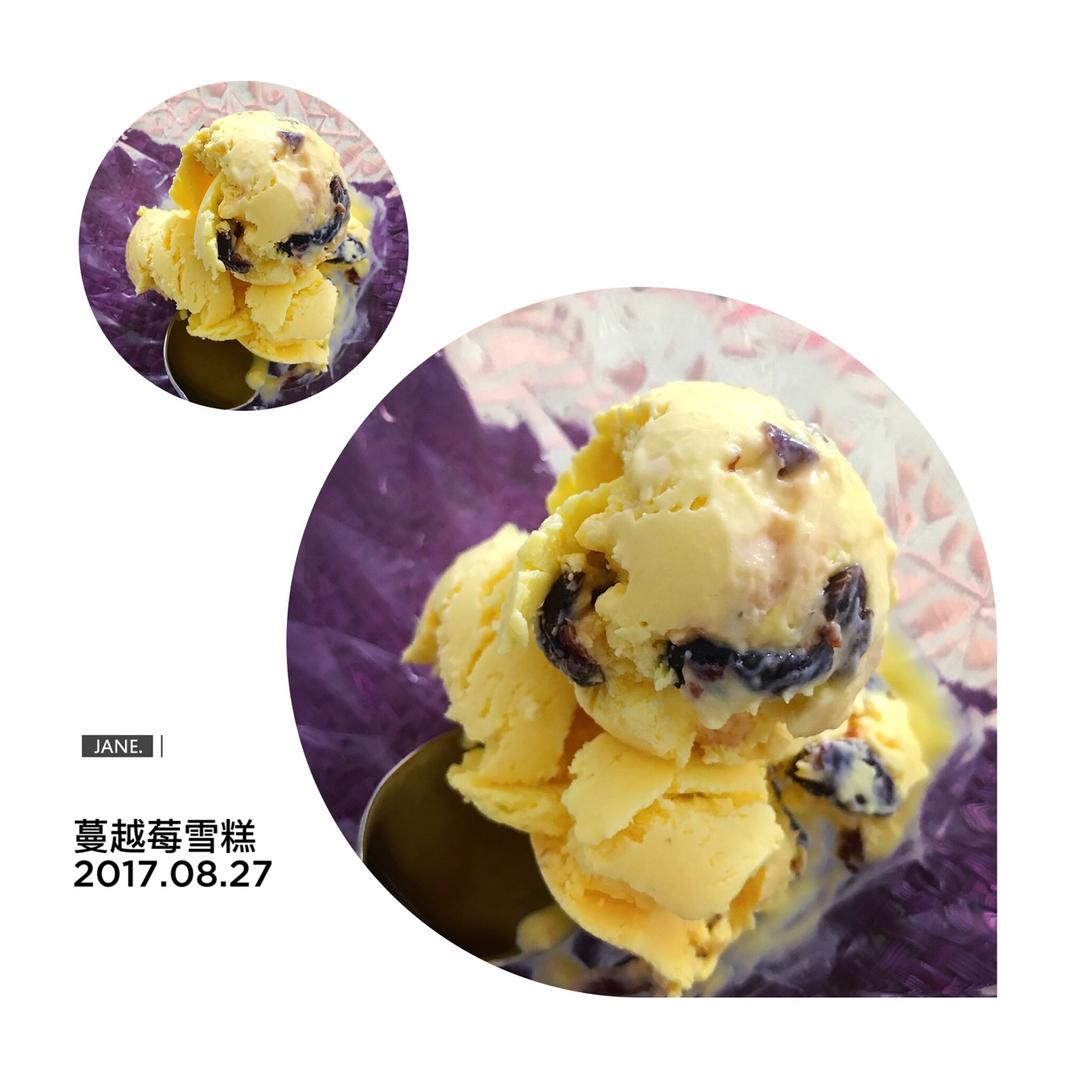 mons做的朗姆黑加仑冰淇淋 rum raisin ice cream