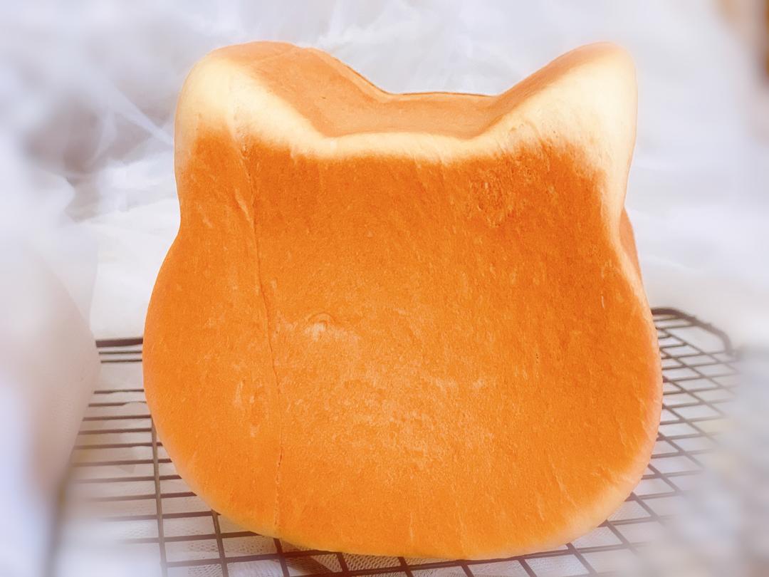 猫猫布里欧修吐司