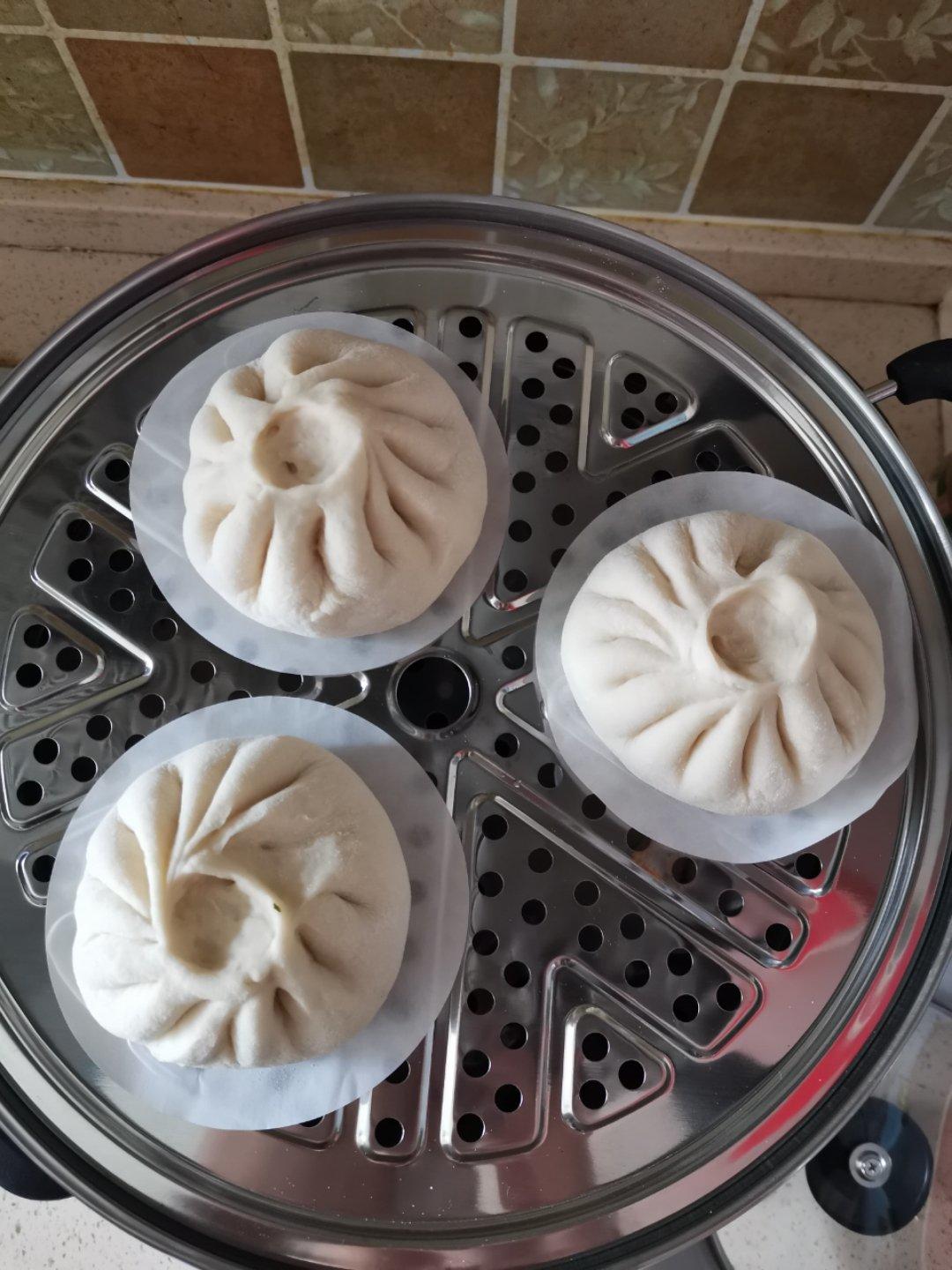 猪肉包子（附视频。一次性发酵。）