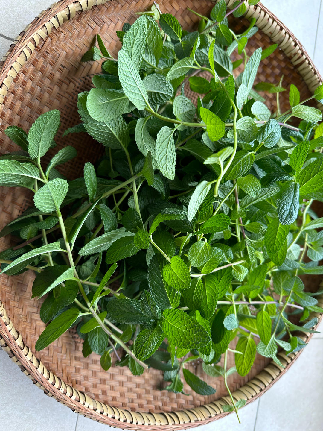阳台薄荷疯长，做个薄荷红茶吧。