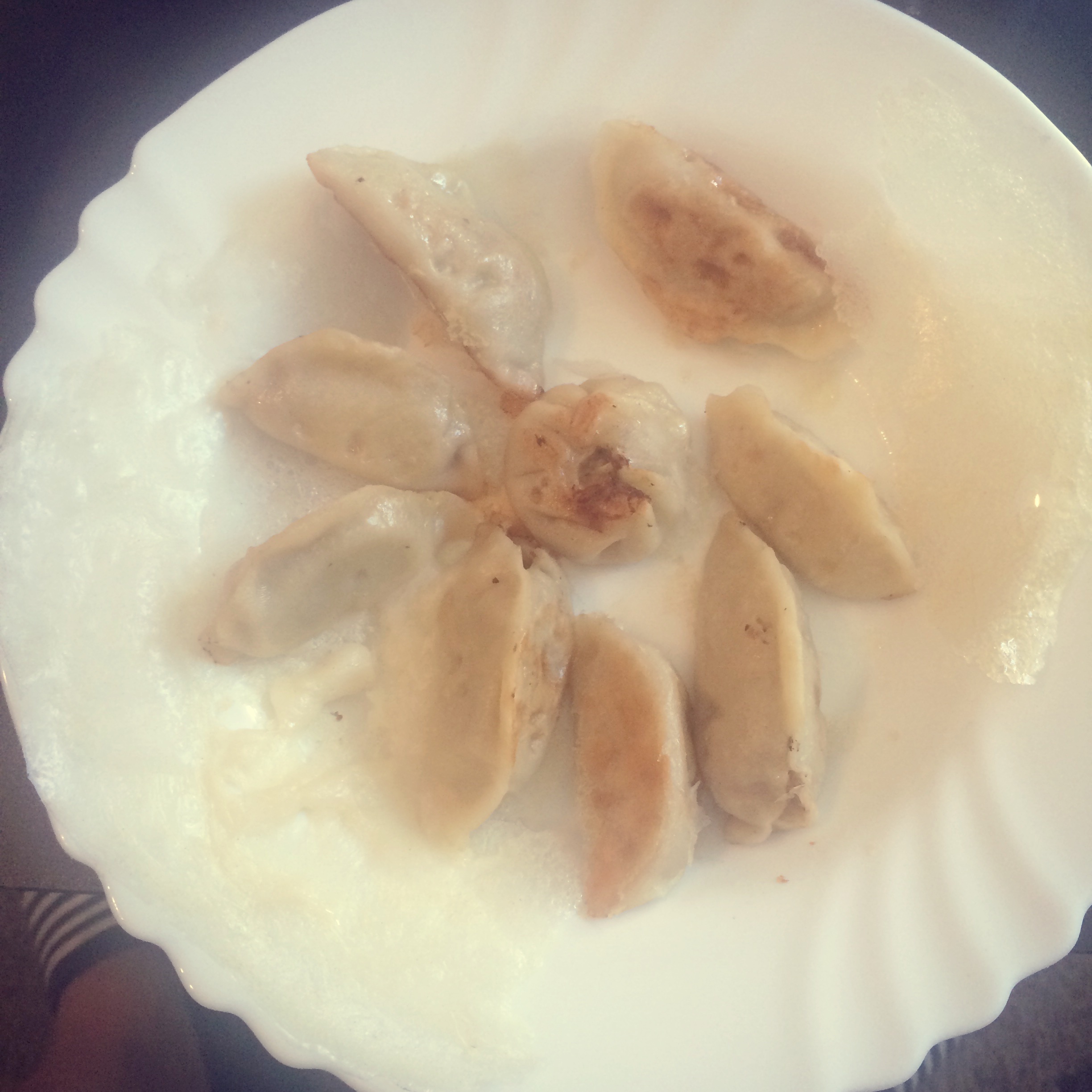 大白菜猪肉馅饺子