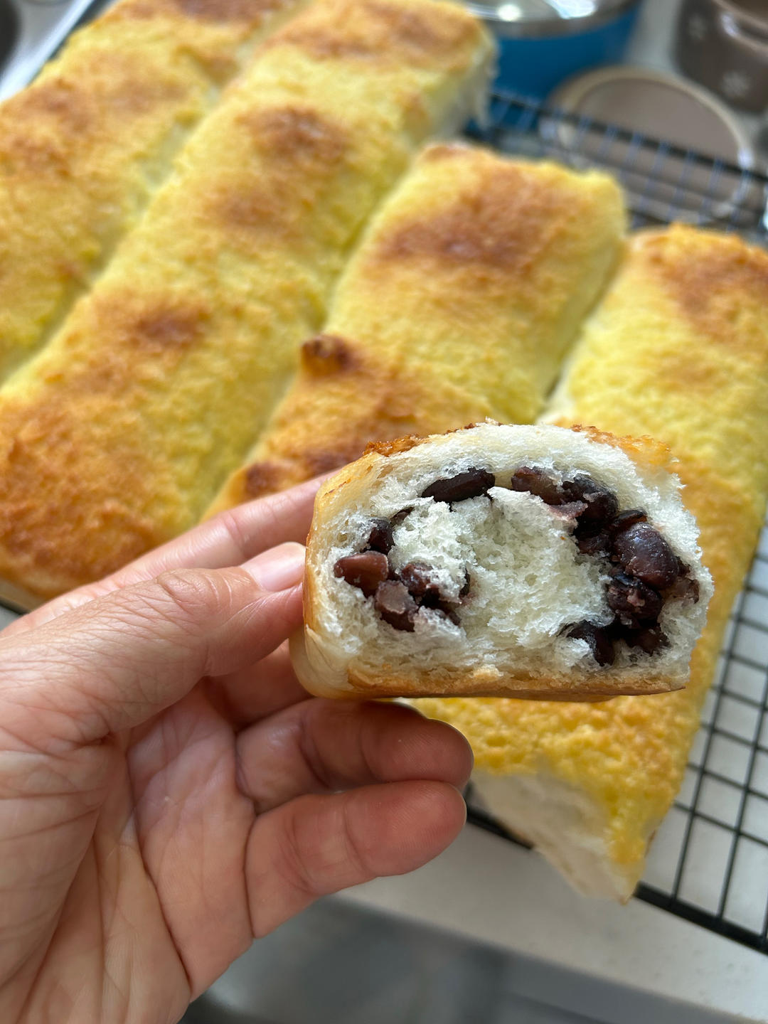 椰蓉蜜豆餐包（内附：蜜豆做法）