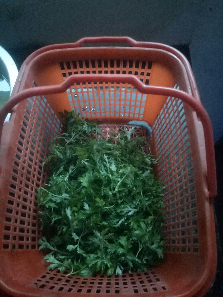 宝宝辅食之碎碎面
