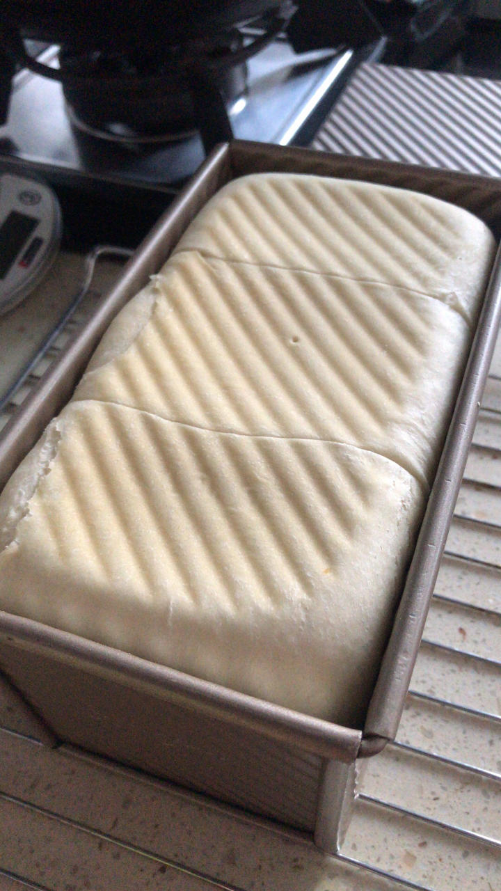 每周必撸的软吐司