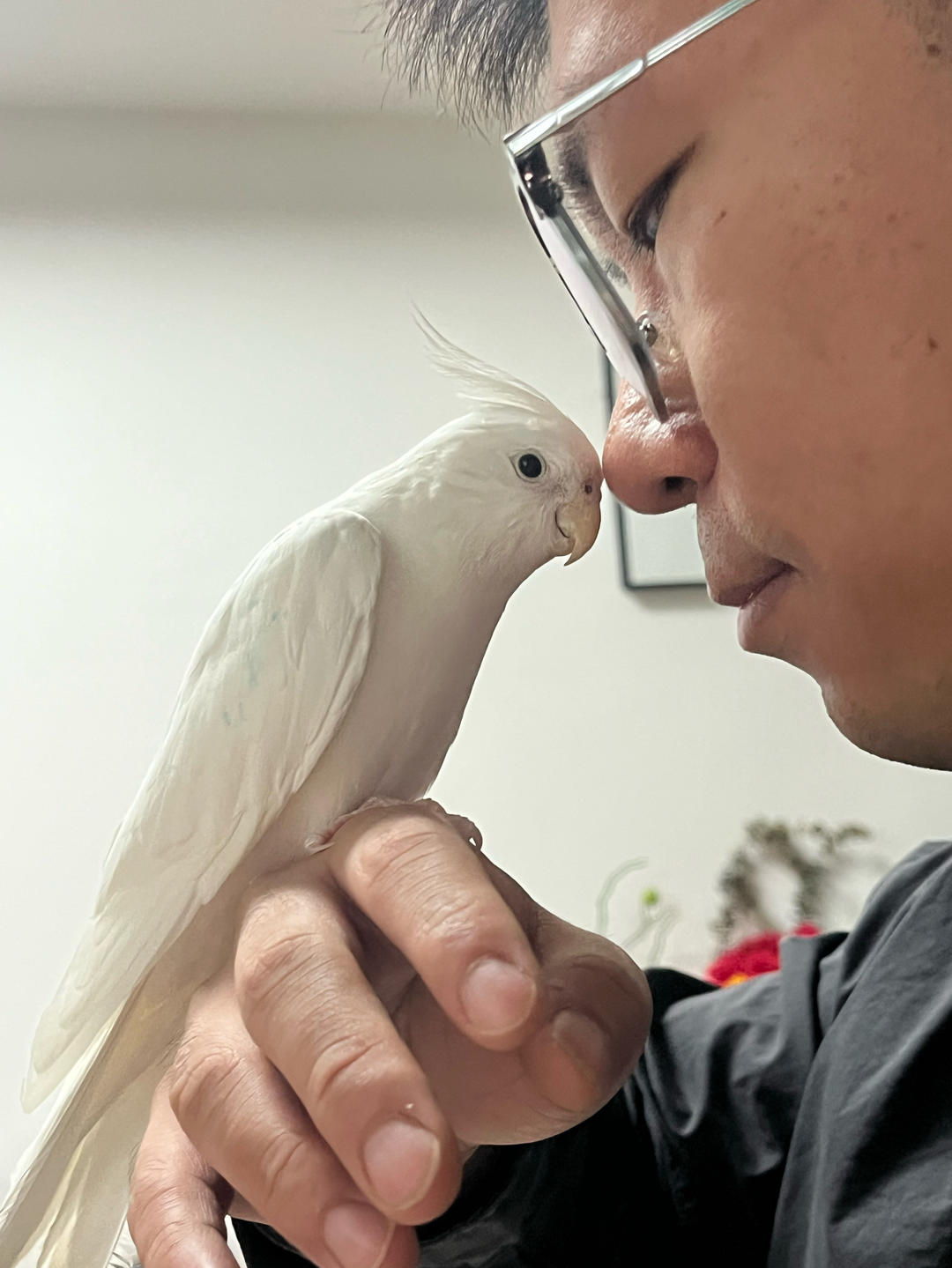 暮摇烟