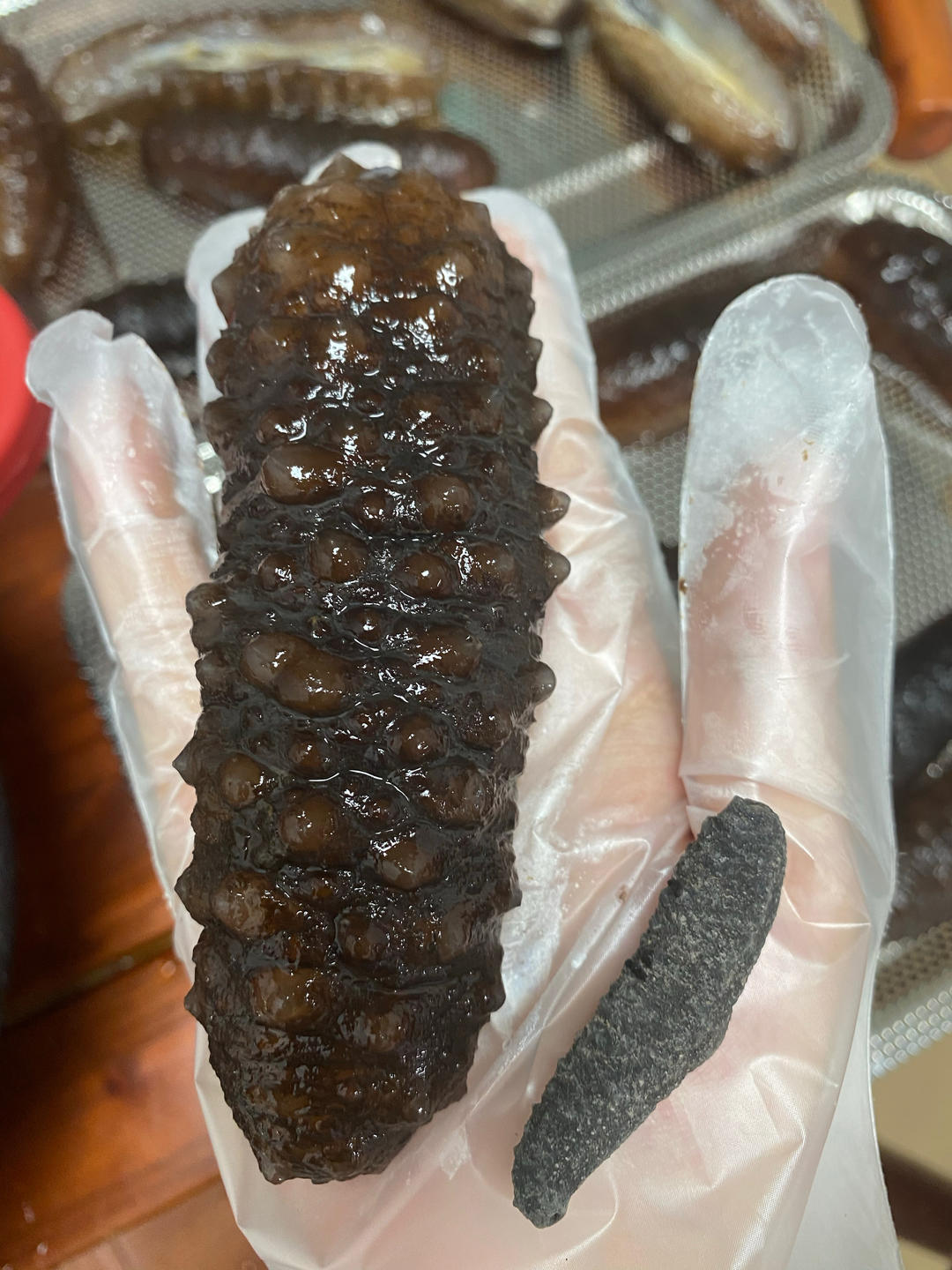 海参刺参如何泡发和保存呢？