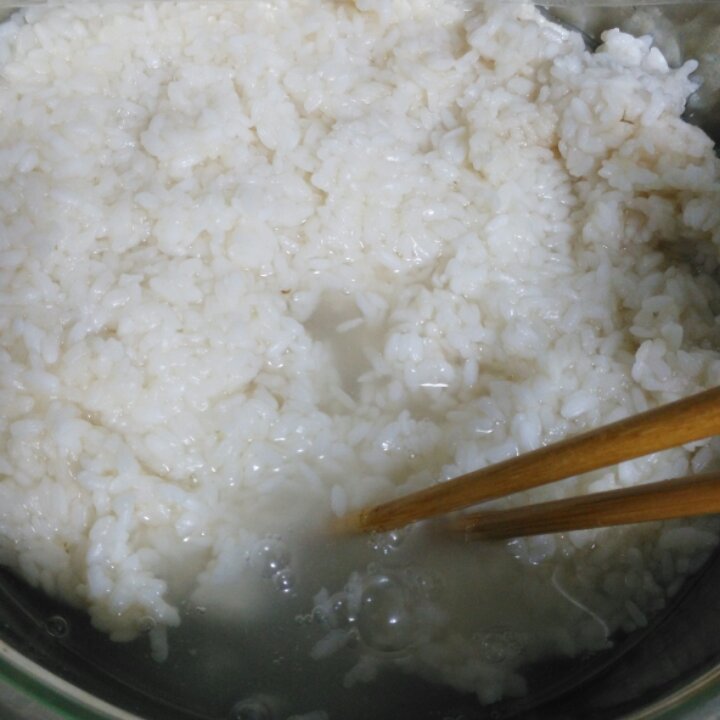 酒酿 (酒酿系列一）