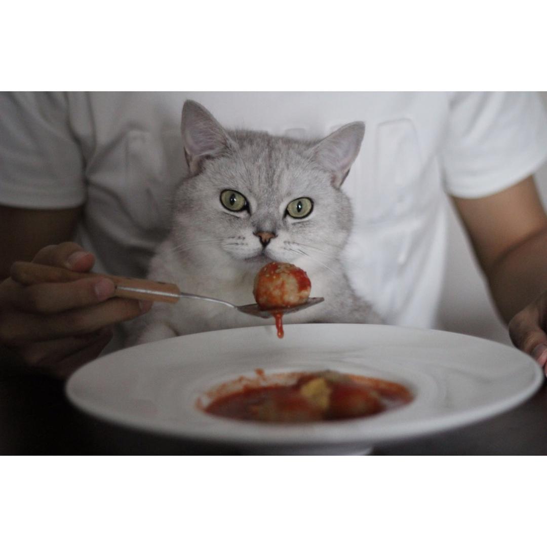 浓浓茄汁鸡肉丸「好好吃饭健康瘦」