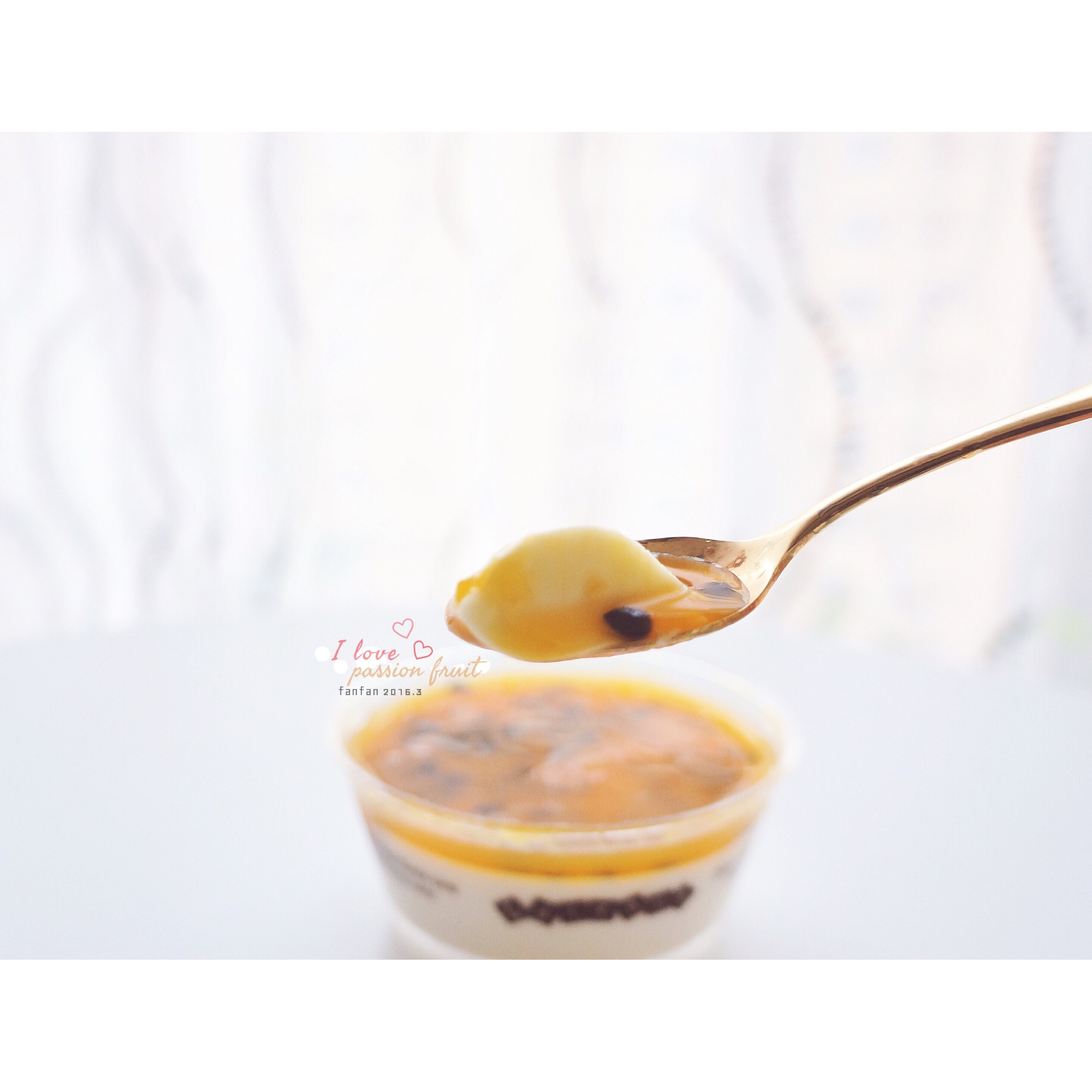 百香果酸奶意式奶冻<Passionfruit Yogurt Panna Cotta>