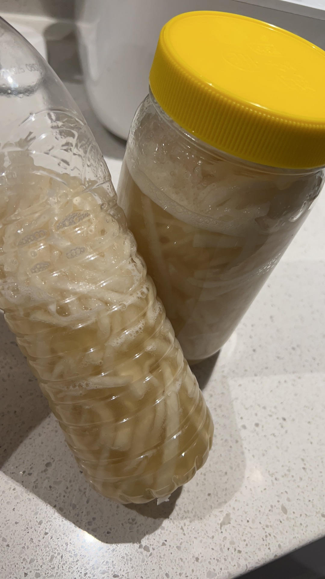 萝卜蜂蜜水(止咳圣水)