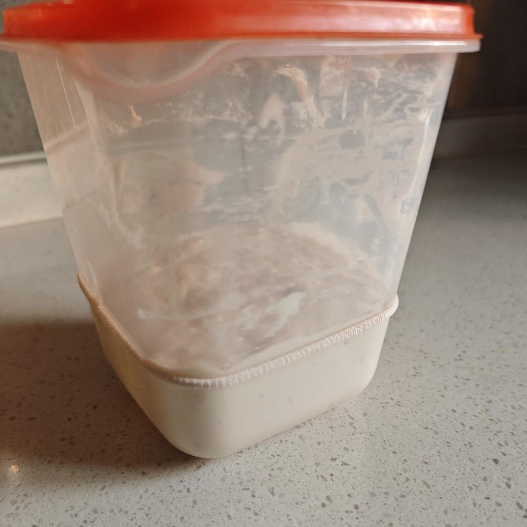 波兰种椰子油全麦吐司（鲜酵母）