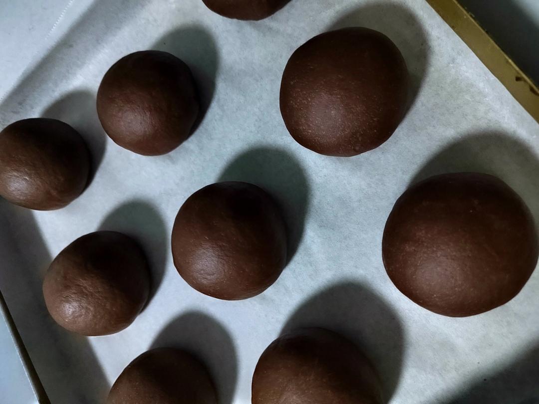 可可蔓越梅软欧~天然酵种(波兰种)