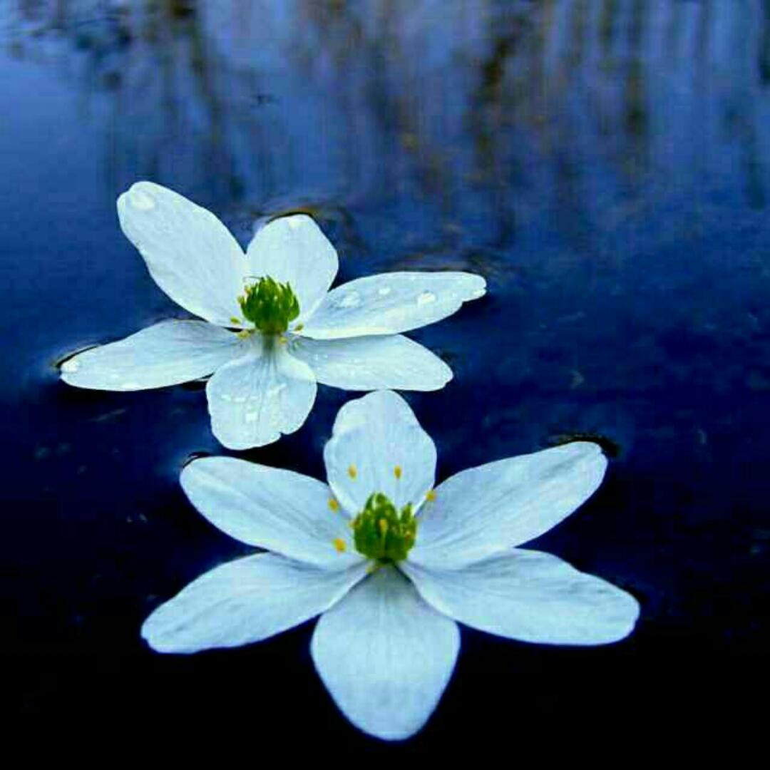 yuguotian雨过天晴