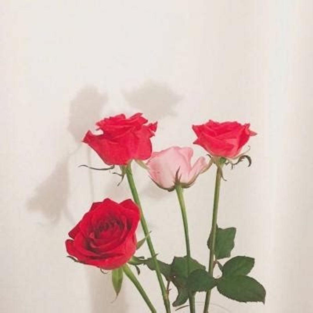 不知道用什么名字哟