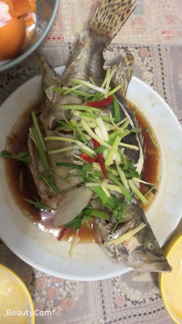 清蒸桂花鱼(鳜鱼)，适合各种清蒸鱼，超级鲜美