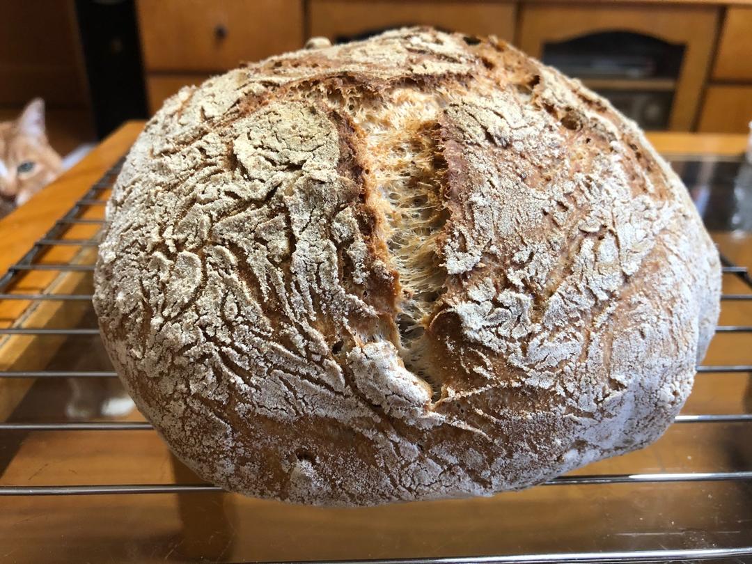 波兰酵头乡村面包--铸铁锅版