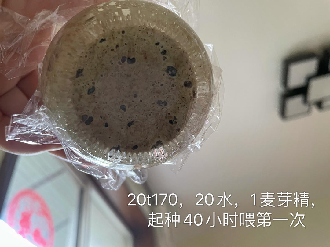 液态鲁邦种/天然酵母/酵种，液态种和硬种转换教程
