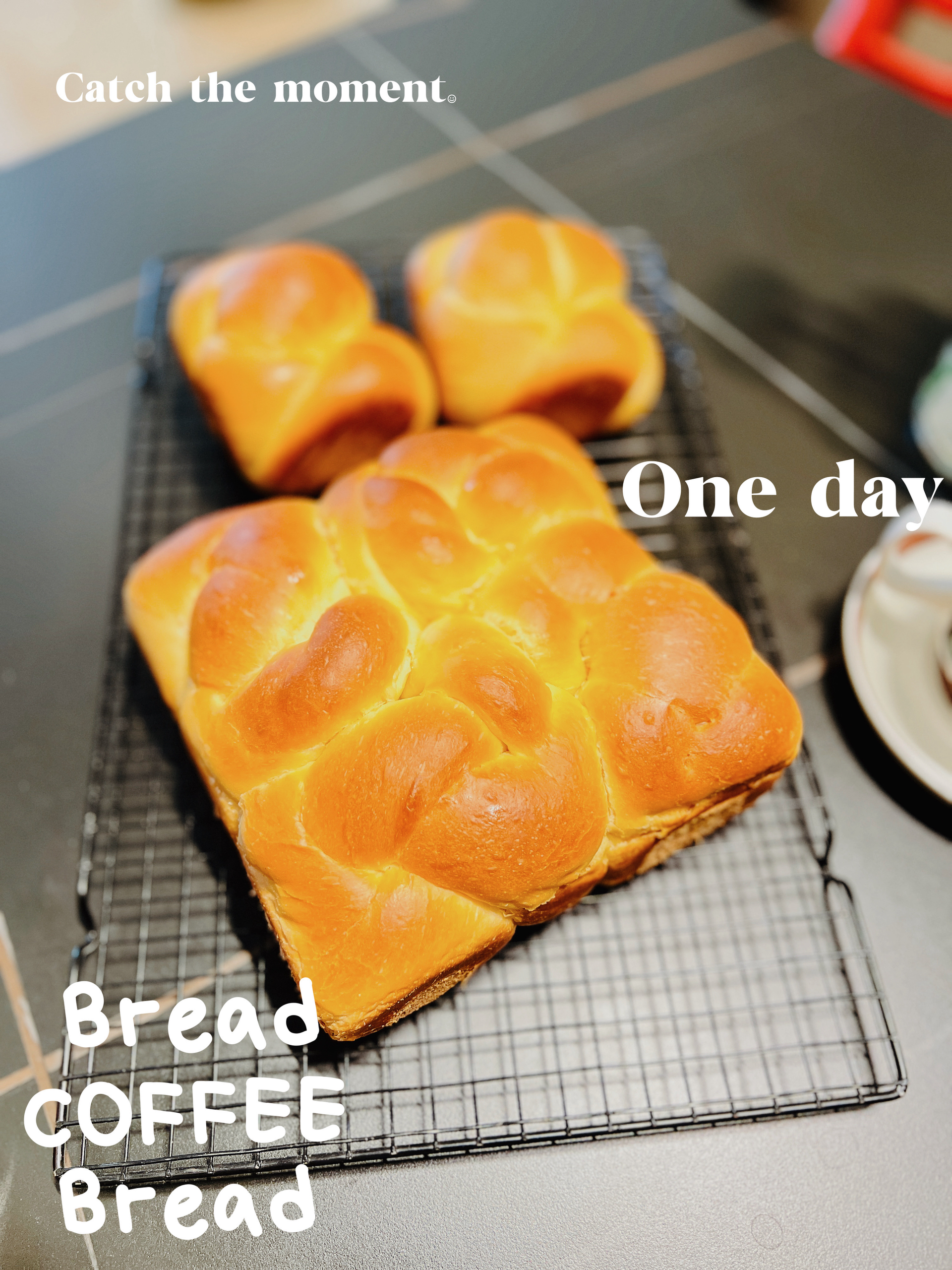老面包（爱和自由）