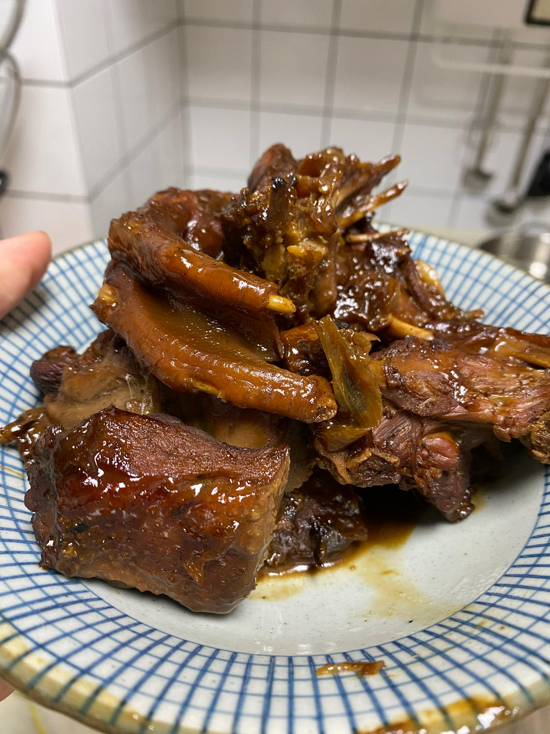 超简单红烧鸭子