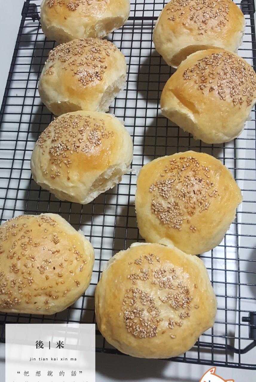 自制营养肉饼汉堡包