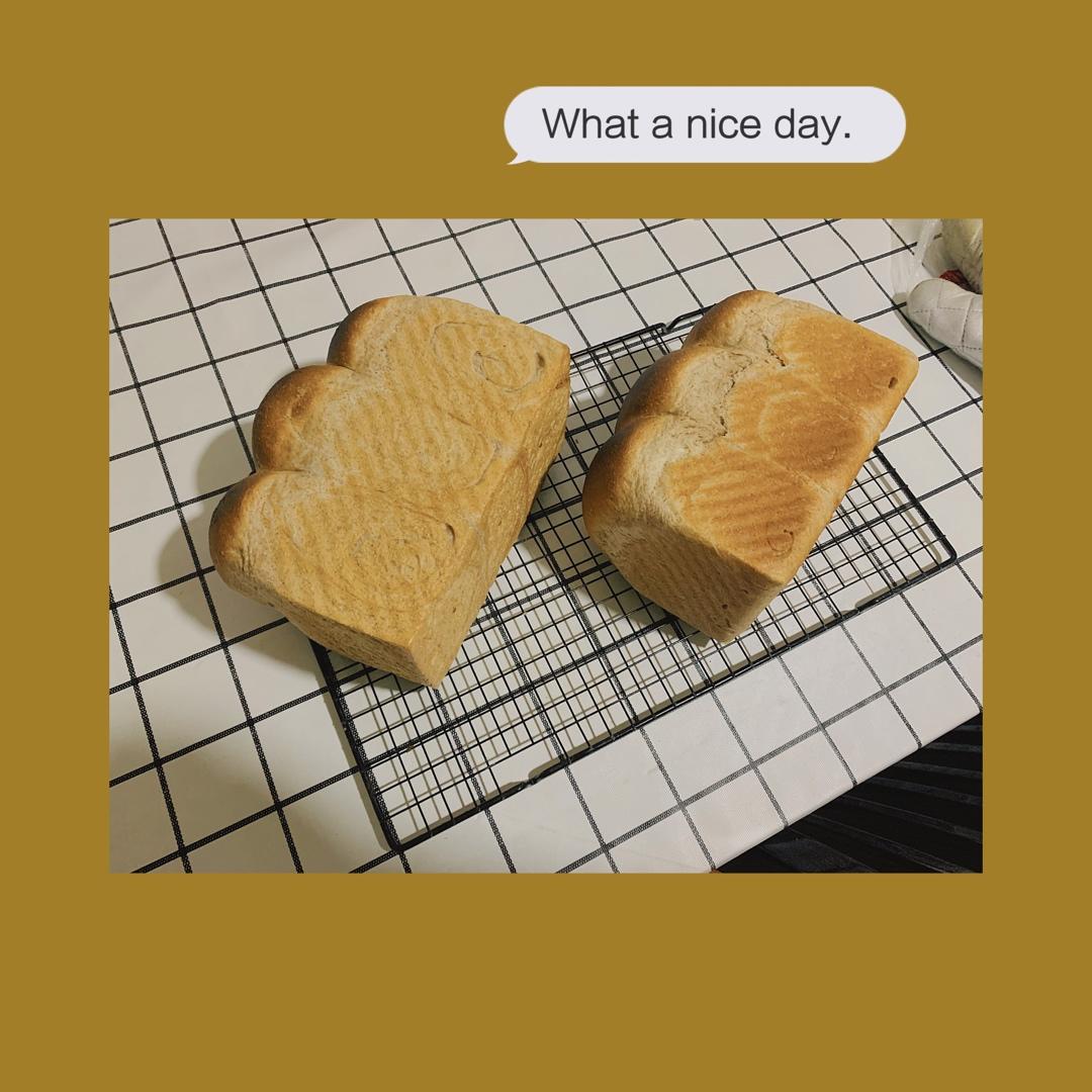 黑全麦波兰种吐司，这么柔软简直怀疑你是个假全麦！