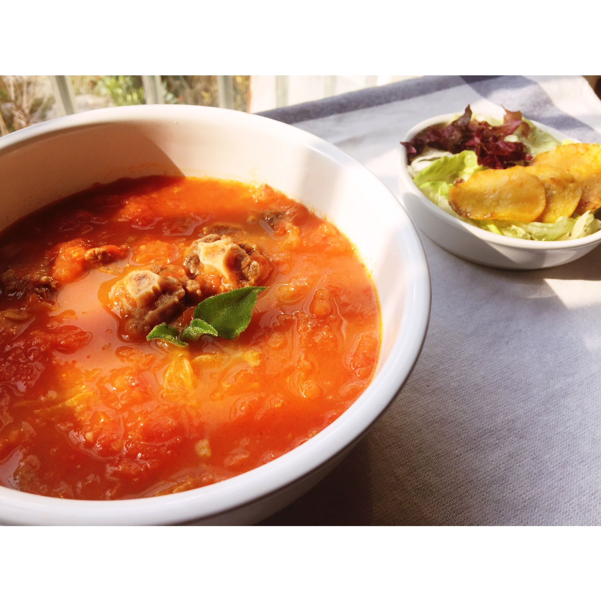 ★宠物食谱★狗狗最爱的牛尾西红柿汤