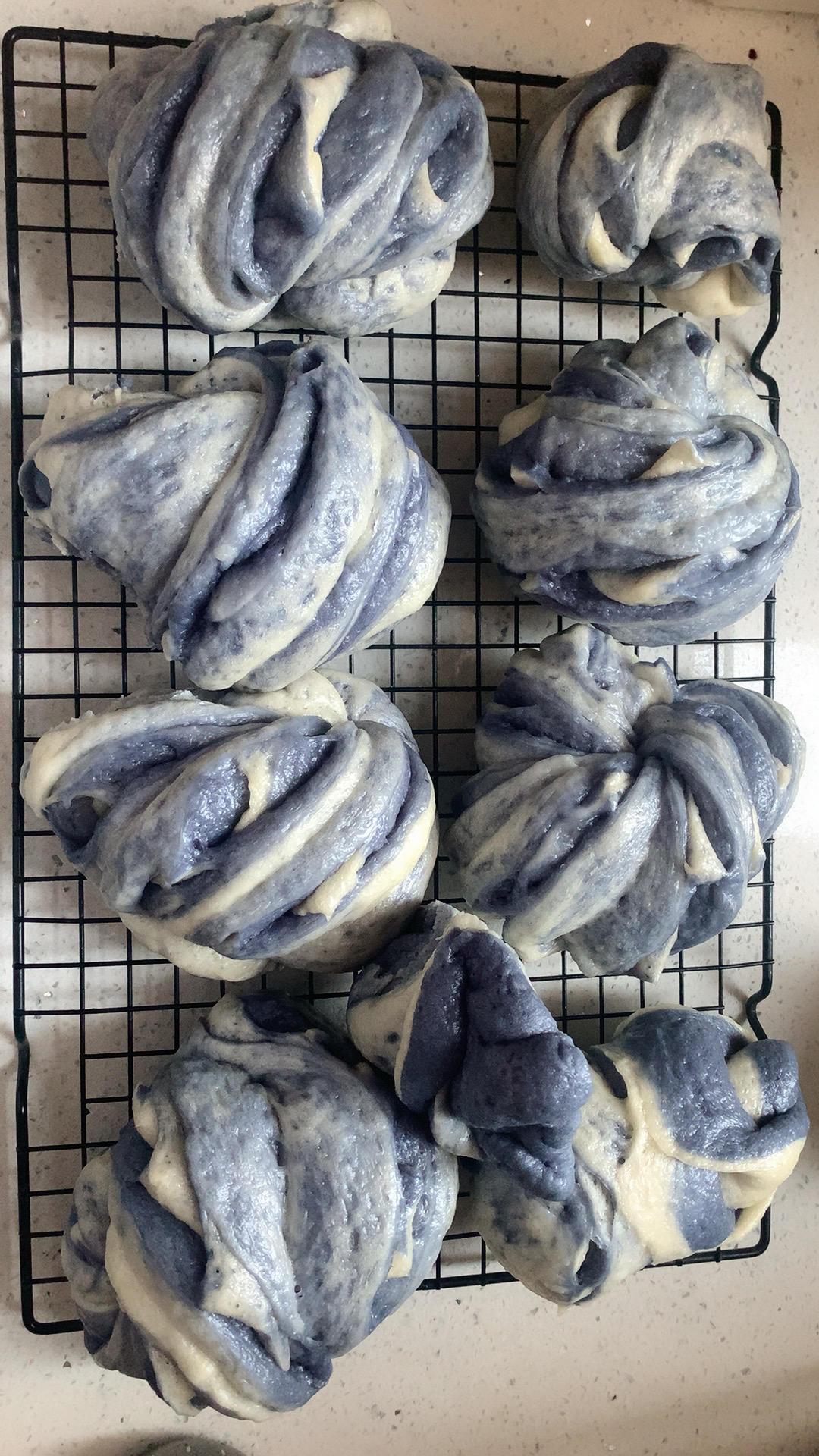 双色花卷（一次发酵）