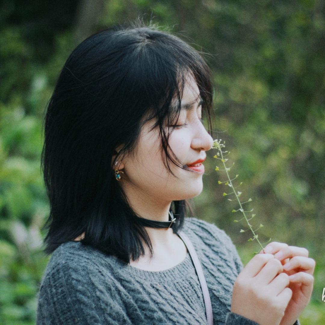 没有樱桃的小叶子