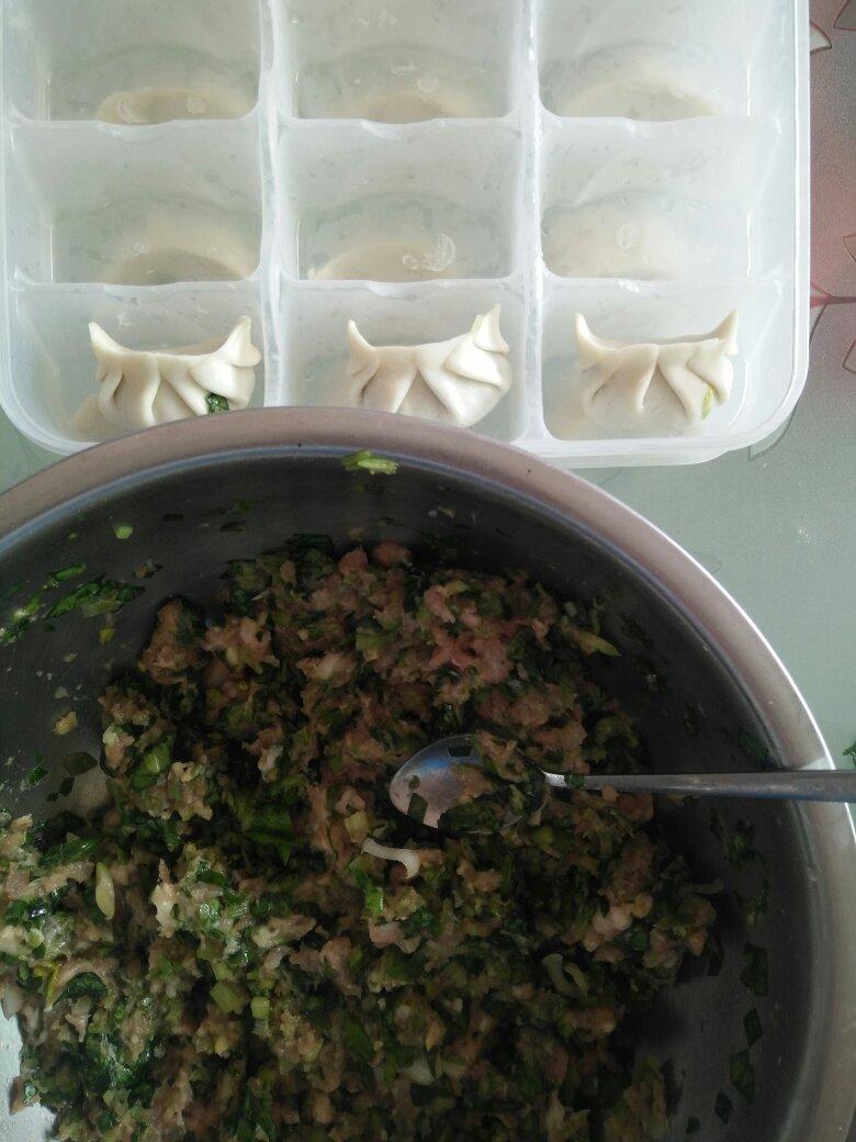 芹菜猪肉大馅饺子