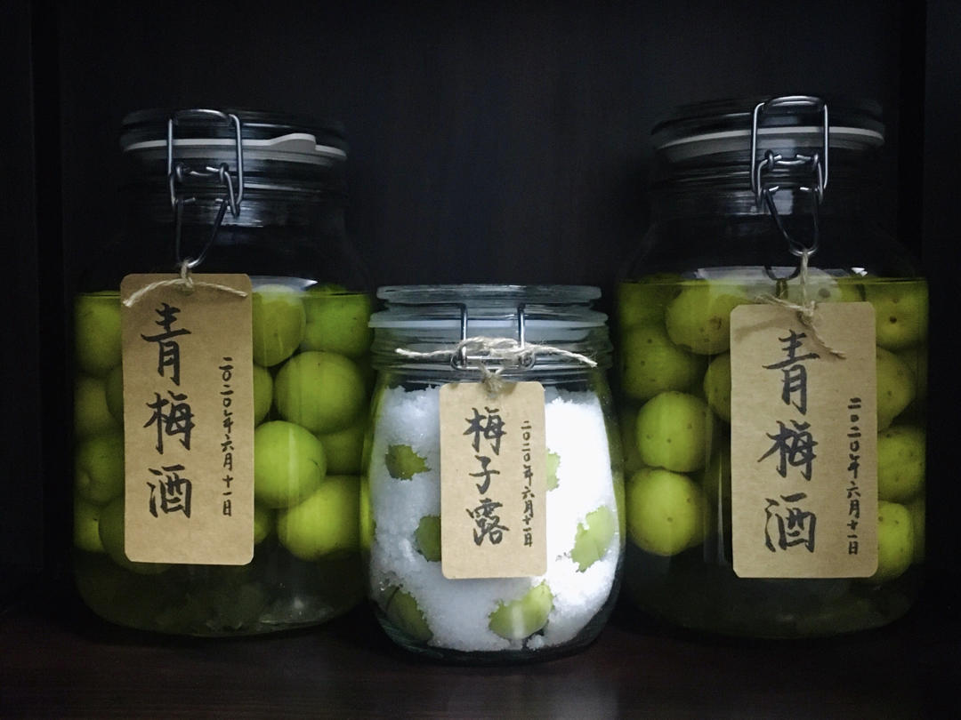 零失败【青梅酒 & 梅子露】梅子的沉淀岁月