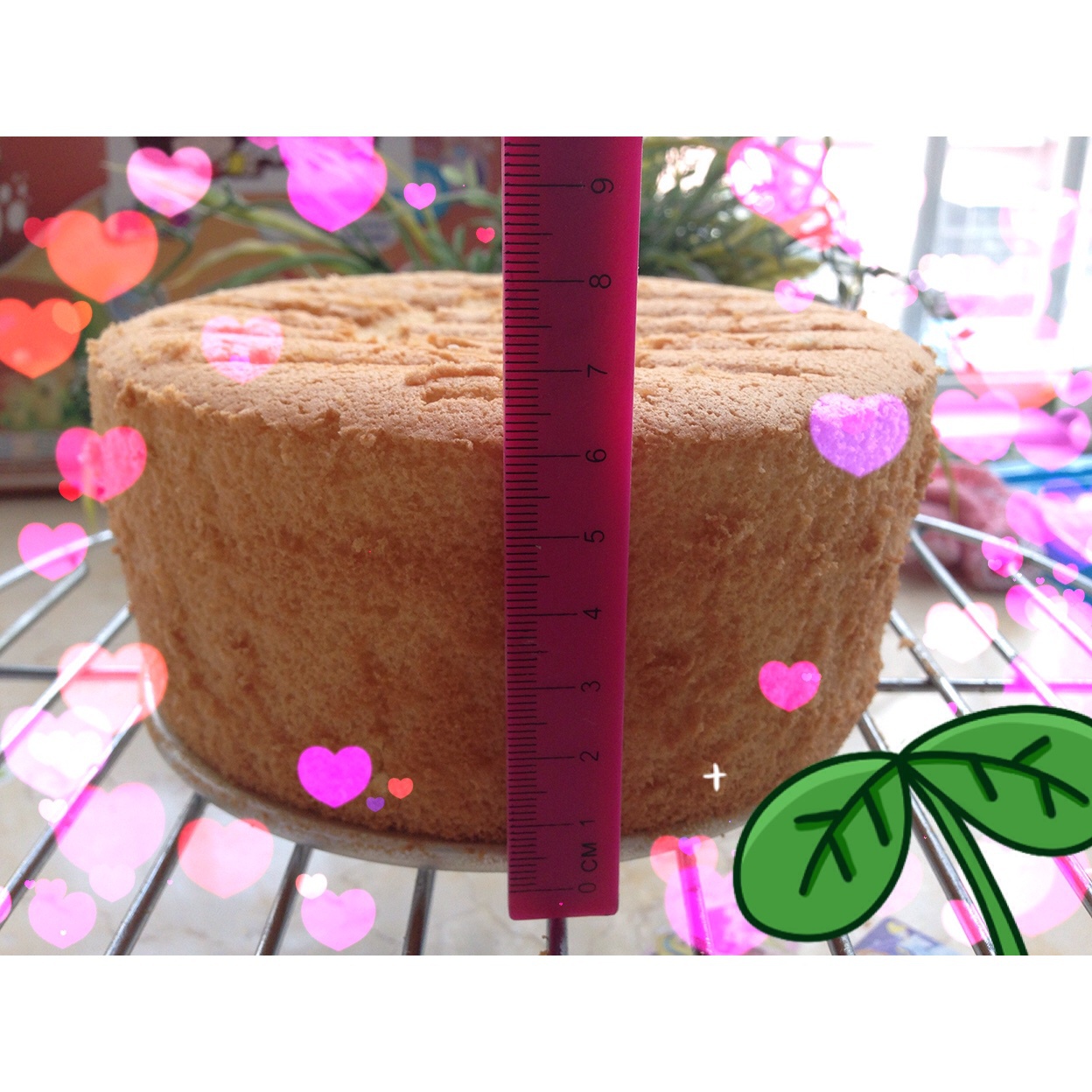 《Tinrry+》戚风蛋糕（6寸配方）（基础、超详细教程）