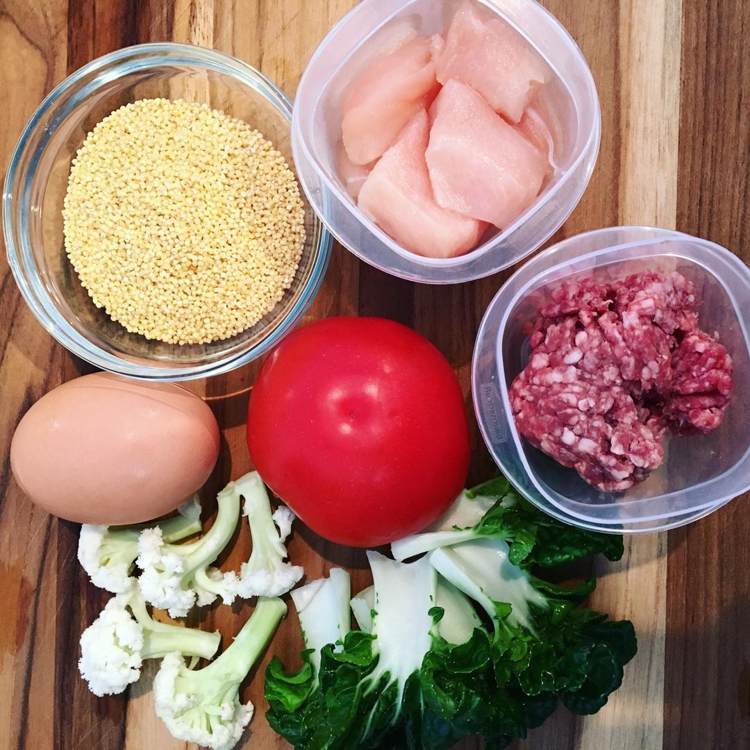 狗狗鲜食——色彩的密码