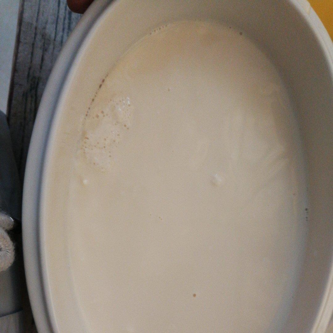 自制豆腐花【米酒/开菲尔Kefir酿水豆腐】自制豆腐
