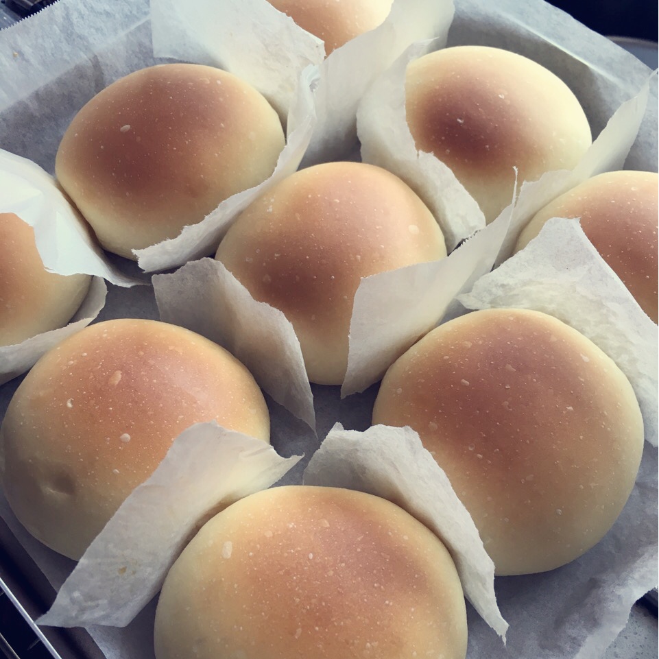原味蘑菇包（一次性发酵）