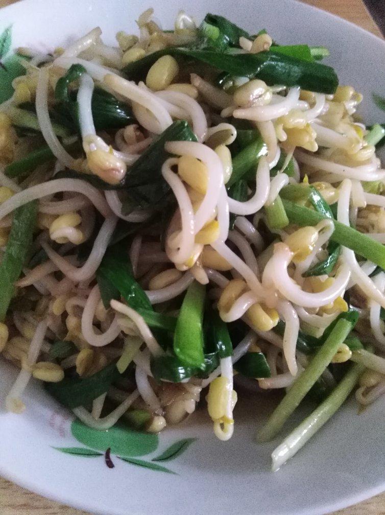 自发豆芽（可乐瓶发豆芽0失败！）