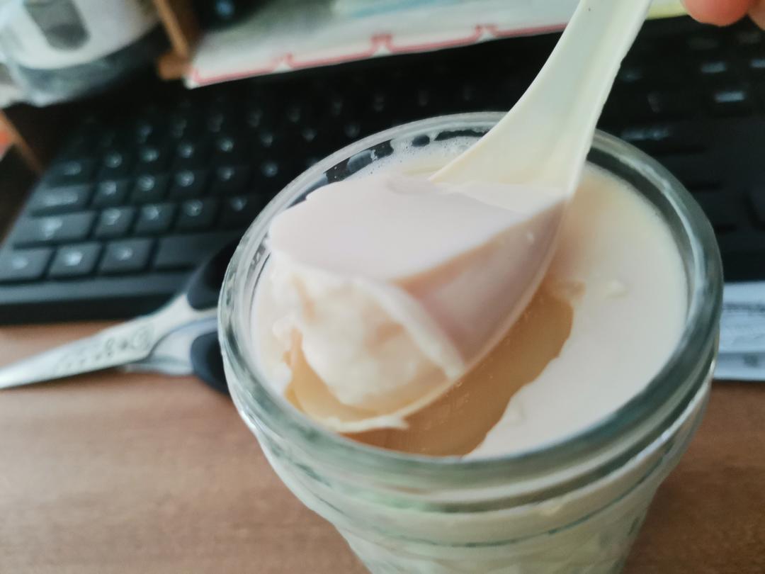 红枣牛奶花胶冻