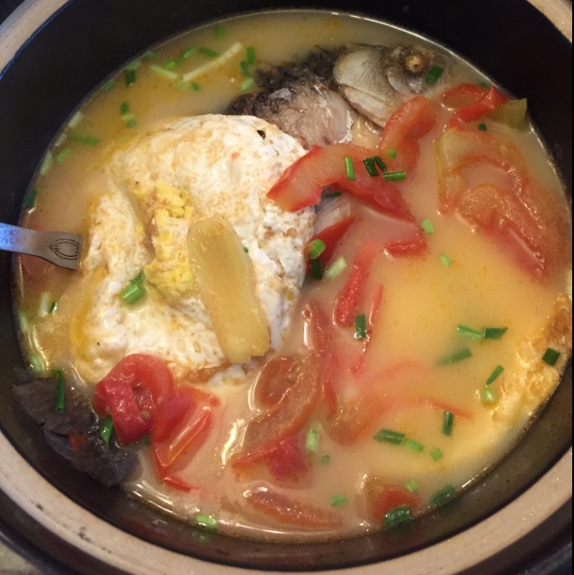 适者生存_gicx做的番茄鲫鱼汤