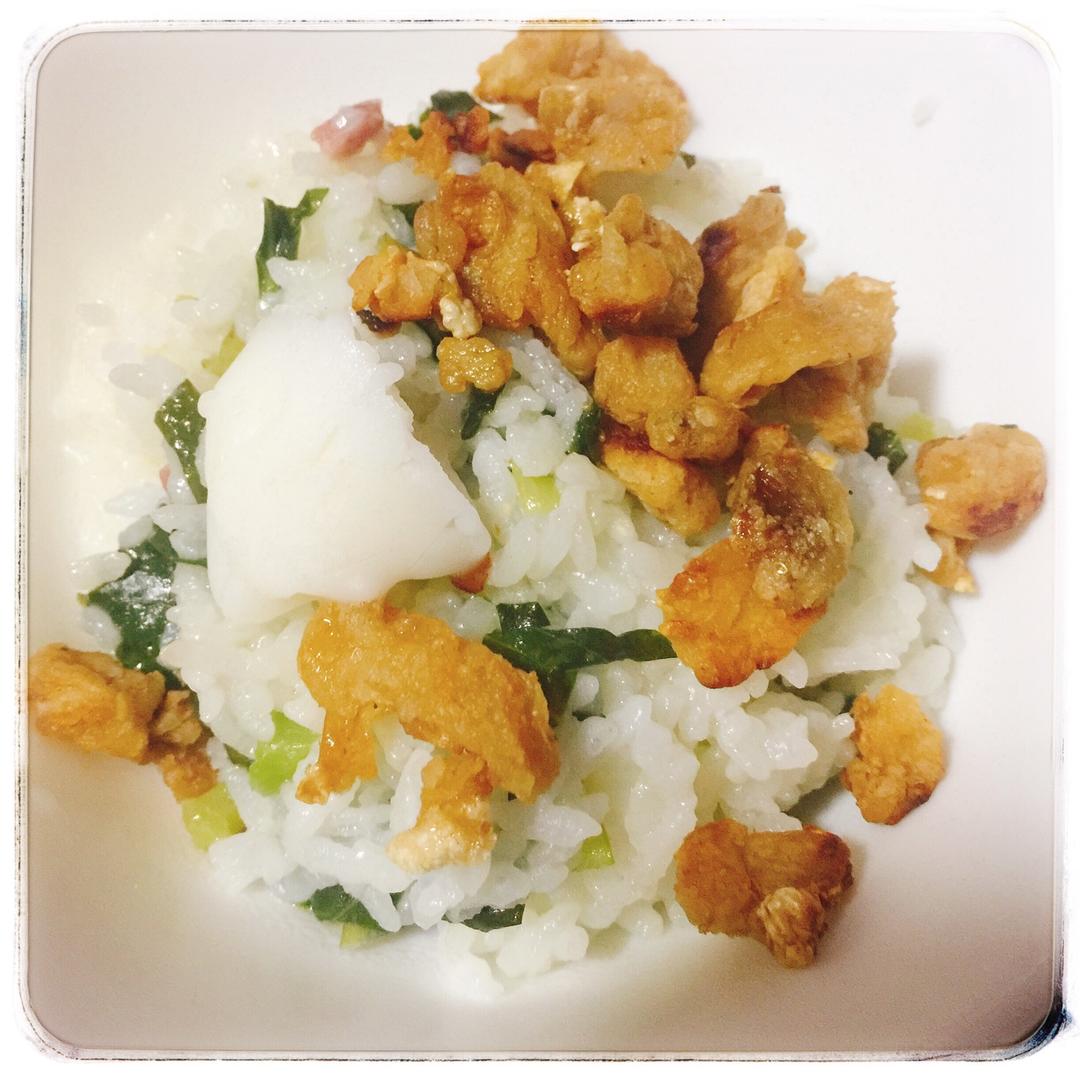 上海菜饭/上海咸酸饭（电饭煲版）