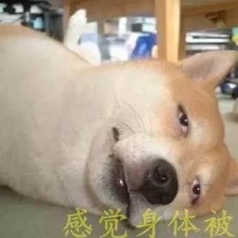 塌头落胚懒狮子